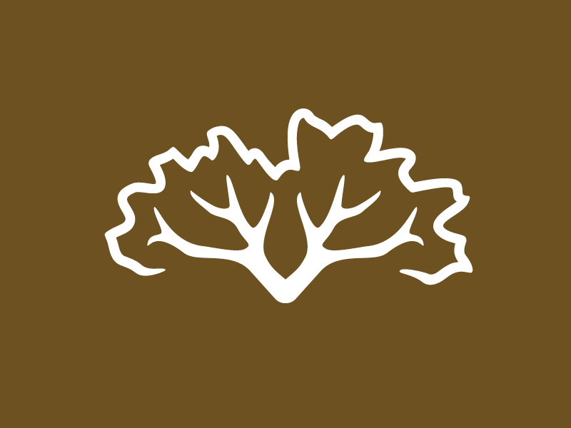 klike-jelinekcorkgroup-logo2